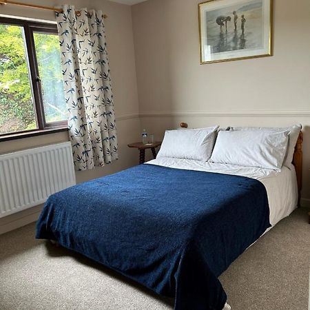 Long View Guest Accommodation Downpatrick Exterior foto