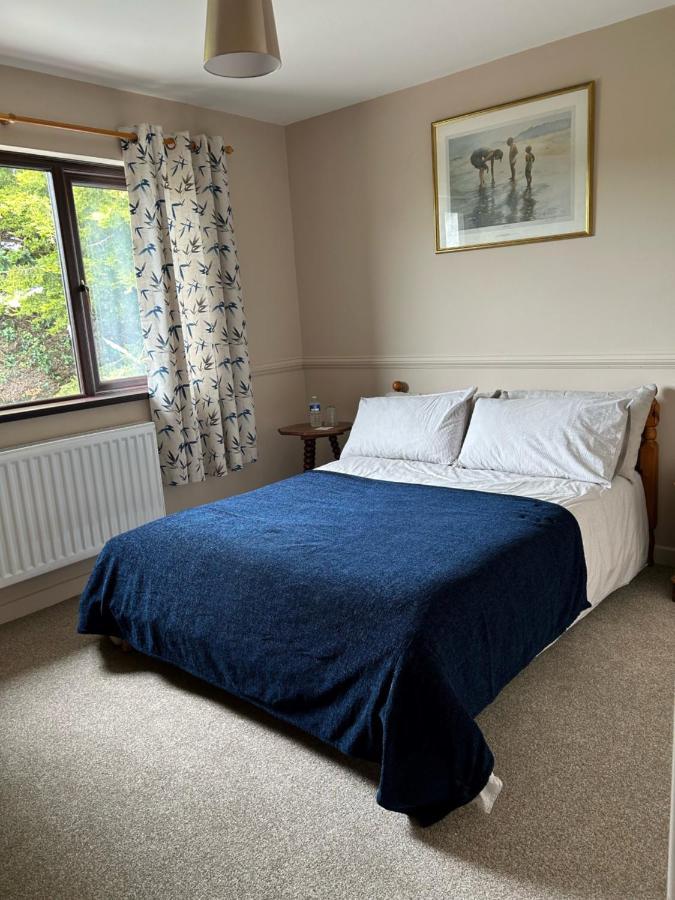 Long View Guest Accommodation Downpatrick Exterior foto